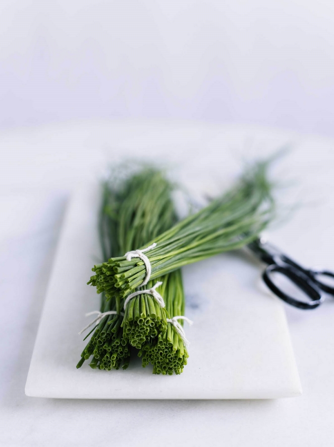 Greens Eats&Arts Food Photography